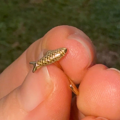 Sardine Comfort Earrings